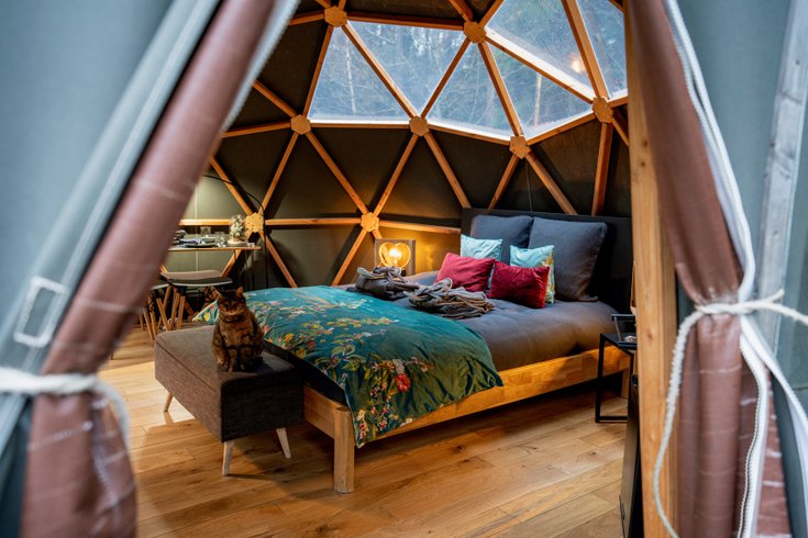 Dôme au milieu des Alpagas : Dôme en Lorraine (Grand Est) – photo 17 sur 45