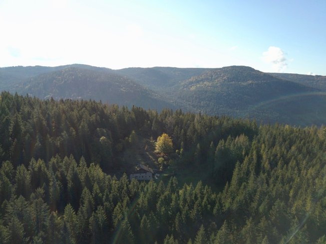 Dôme au milieu des Alpagas : Dôme en Lorraine (Grand Est) – photo 19 sur 45