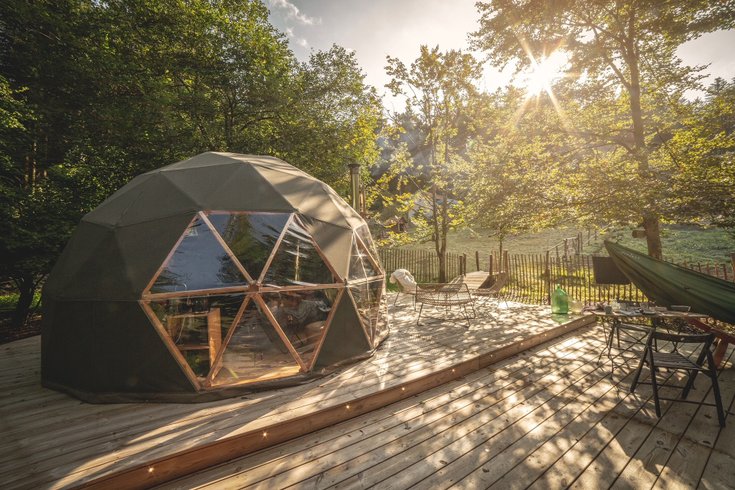 Dôme au milieu des Alpagas : Dôme en Lorraine (Grand Est) – photo 23 sur 45