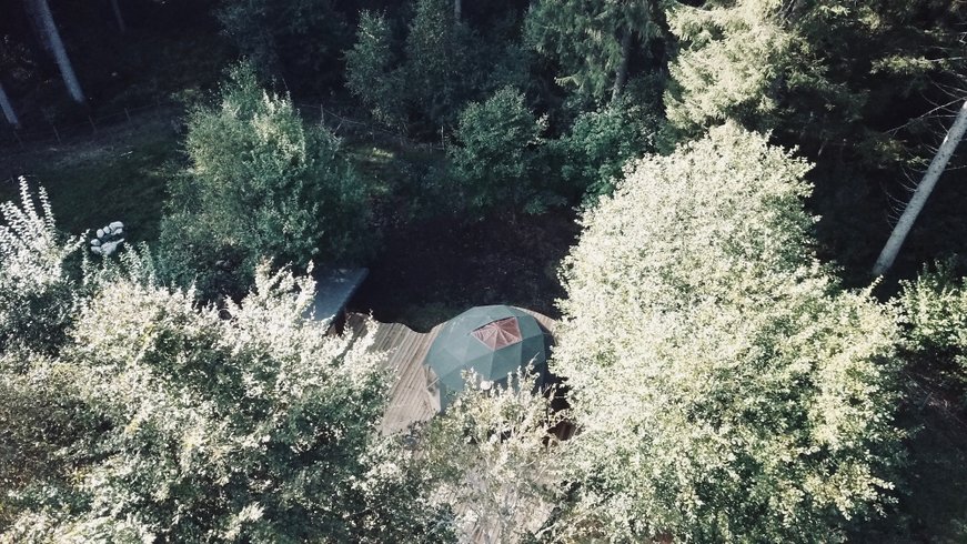 Dôme au milieu des Alpagas : Dôme en Lorraine (Grand Est) – photo 24 sur 45