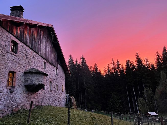 Dôme au milieu des Alpagas : Dôme en Lorraine (Grand Est) – photo 31 sur 45