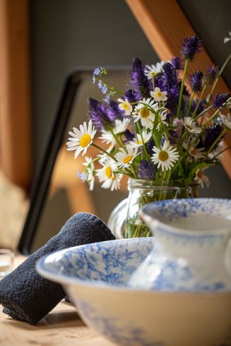 Dôme au milieu des Alpagas : Dôme en Lorraine (Grand Est) – photo 36 sur 45