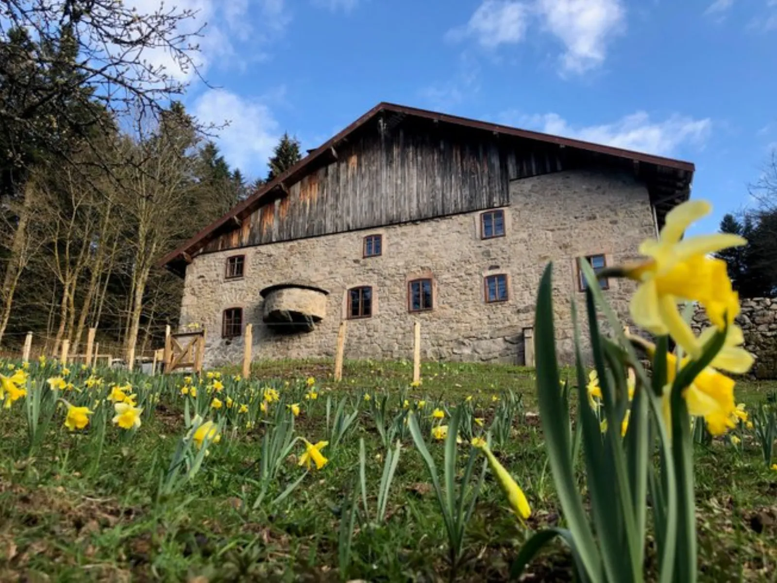 Dôme au milieu des Alpagas : Dôme en Lorraine (Grand Est) - photo 40 sur 45