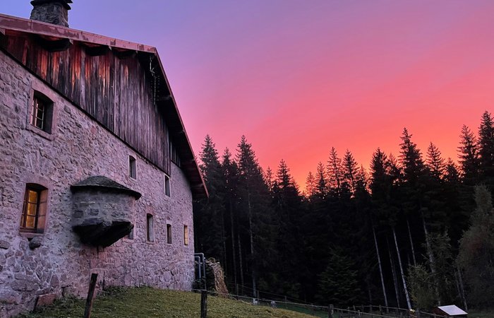 Dôme au milieu des Alpagas : Dôme en Lorraine (Grand Est) – photo 45 sur 45