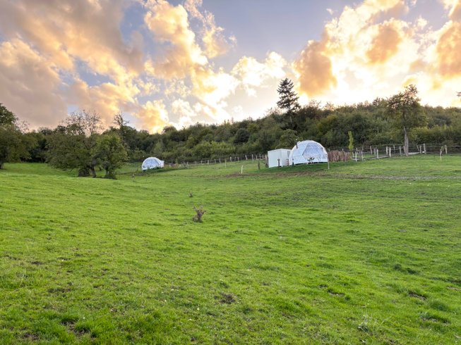 Intérieur dôme à Chateau-Salins