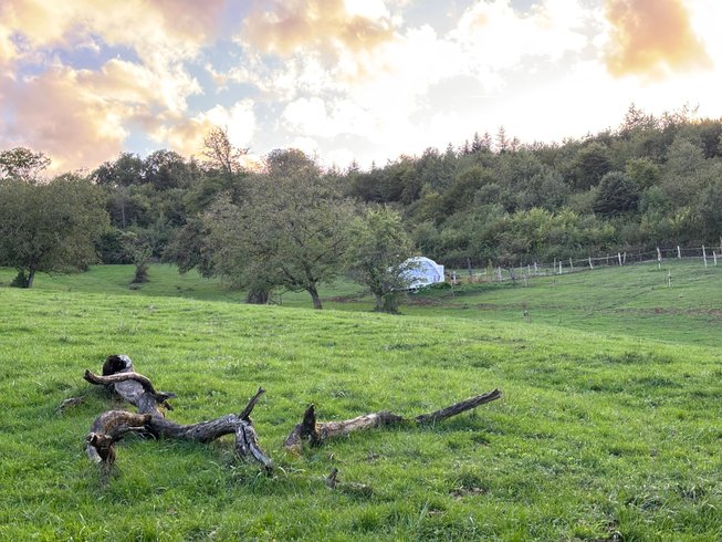 Dôme Ambre : Dôme en Lorraine (Grand Est) – photo 6 sur 15