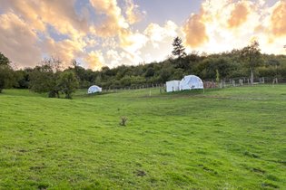 Dôme Ortense : Dôme en Lorraine (Grand Est) – photo 12 sur 13