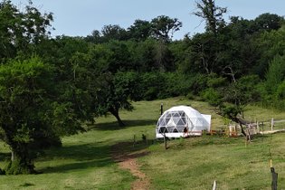 Dôme Ortense : Dôme en Lorraine (Grand Est) – photo 13 sur 13