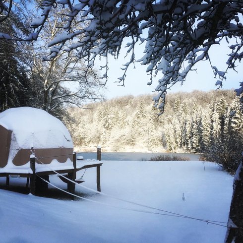 dôme insolite Meuse – photo 5