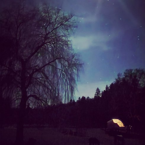 Grande ourse : Dôme en Lorraine (Grand Est) – photo 6 sur 14