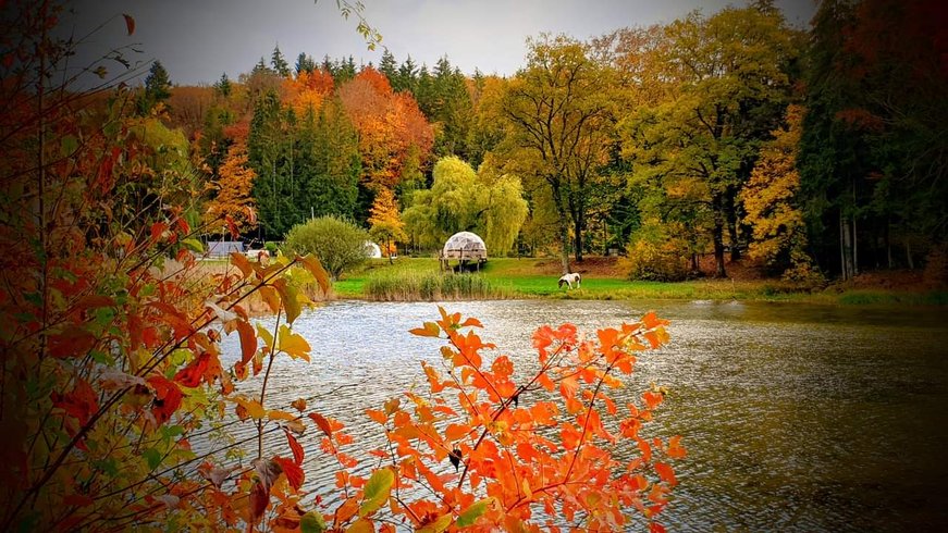 Grande ourse : Dôme en Lorraine (Grand Est) – photo 7 sur 14