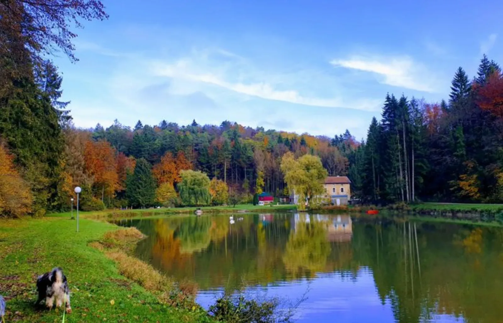 Grande ourse : Dôme en Lorraine (Grand Est) - photo 8 sur 14