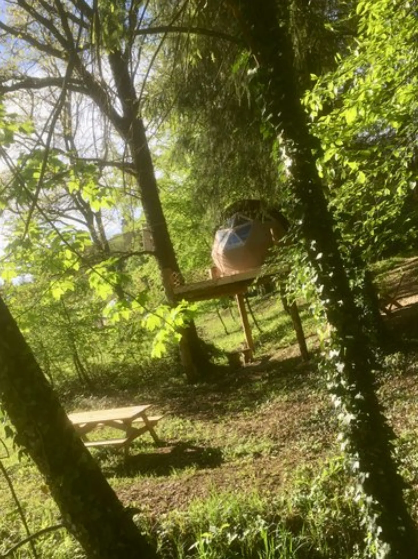 dôme insolite Meuse - photo 5