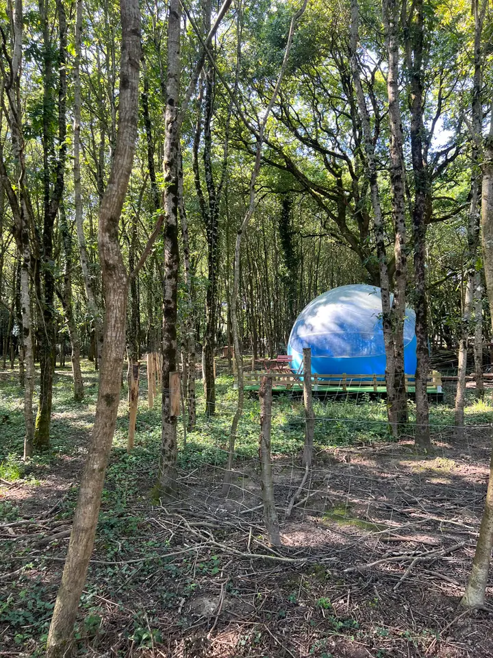 Fun en bulle - Bulle dans une ferme pédagogique (Saint-Christophe-du-Ligneron, Vendée) - photo 9 sur 21