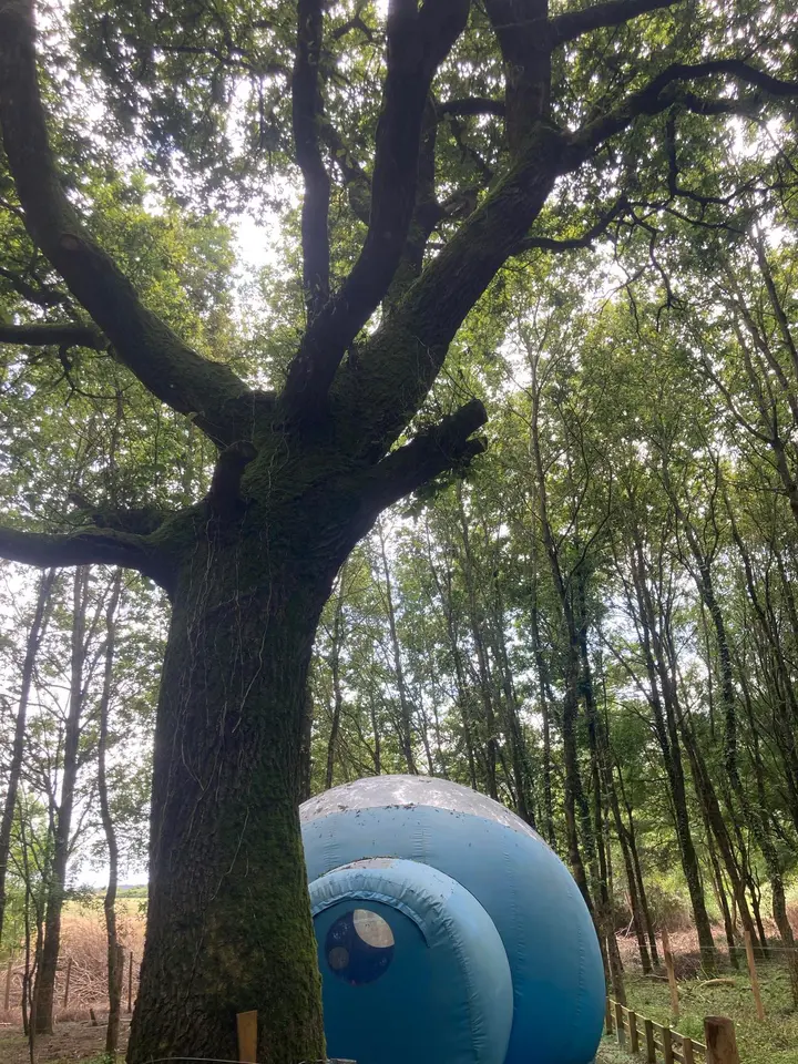 Fun en bulle - Bulle dans une ferme pédagogique (Saint-Christophe-du-Ligneron, Vendée) - photo 10 sur 21