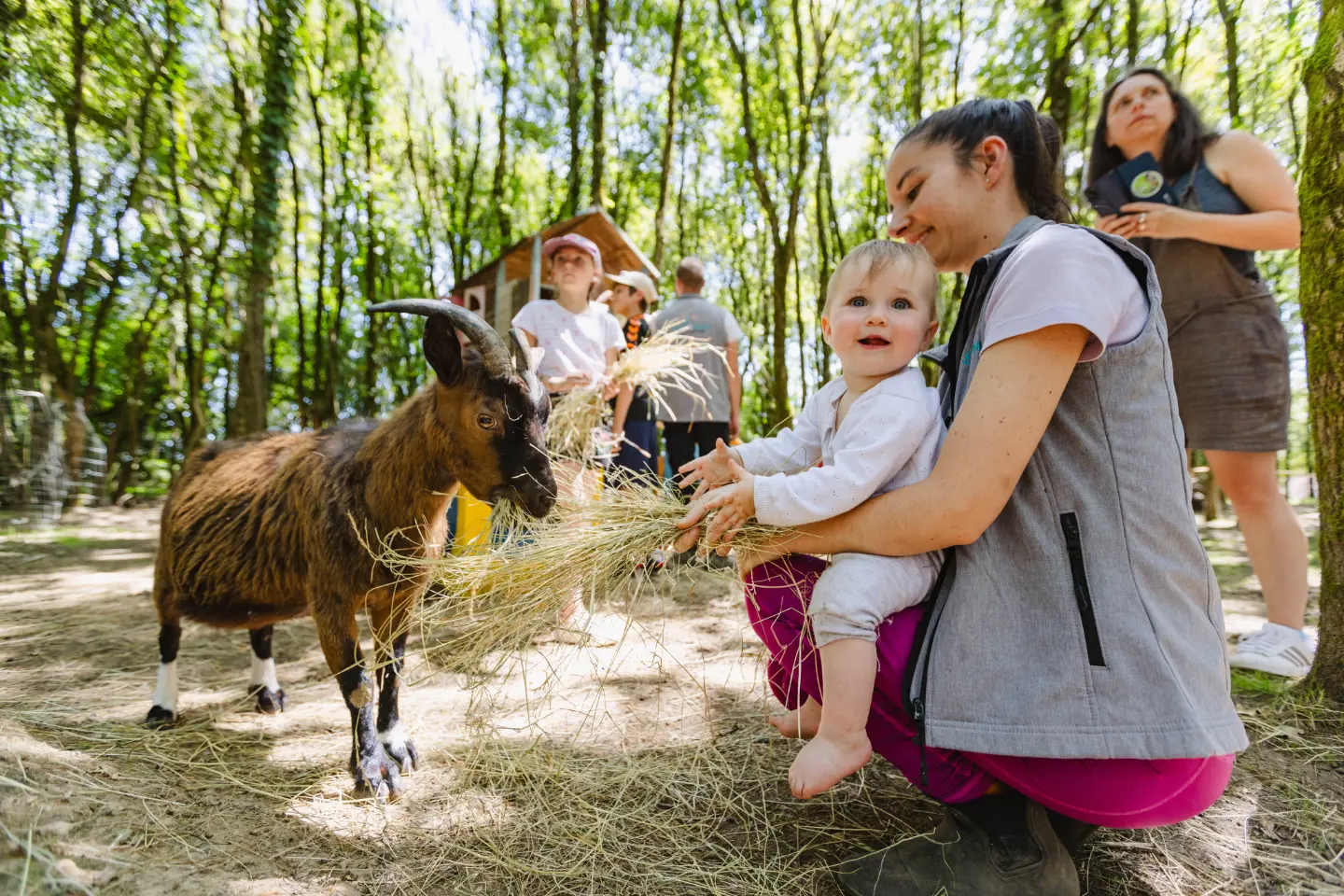 Fun en bulle - Bulle dans une ferme pédagogique (Saint-Christophe-du-Ligneron, Vendée) - photo 20 sur 21