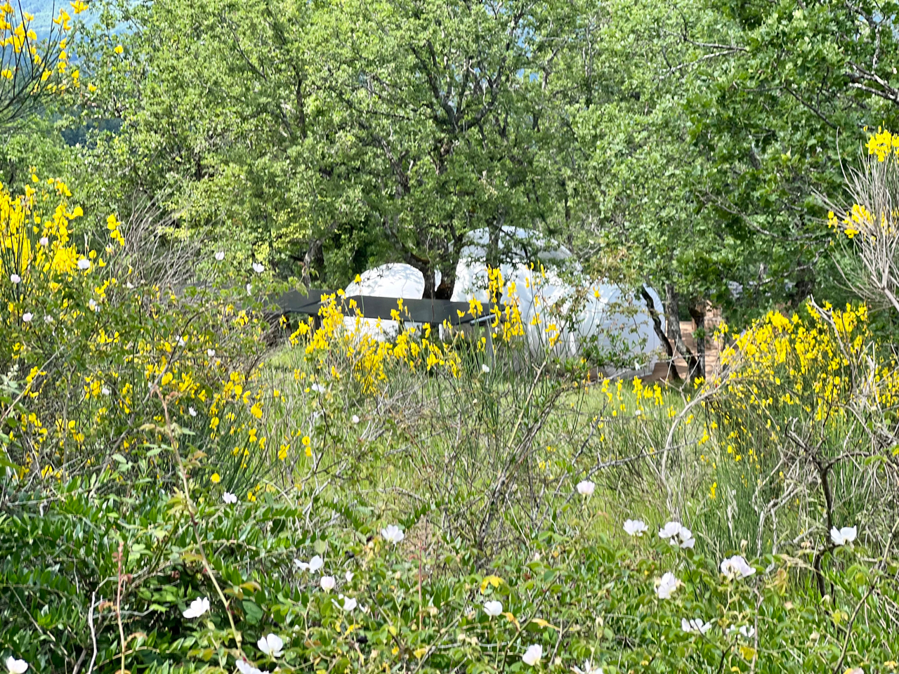 Fun’ambulle – photo 10 sur 15