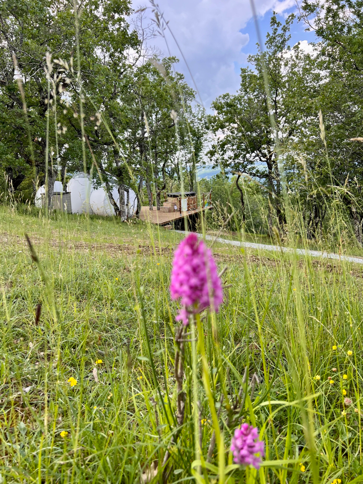 Fun’ambulle – photo 11 sur 15