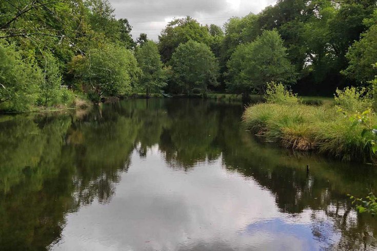 Dôme des Songes & Spa : Dôme en Bretagne – photo 6 sur 15