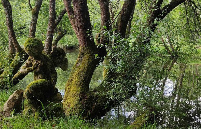 Dôme des Songes & Spa : Dôme en Bretagne – photo 15 sur 15
