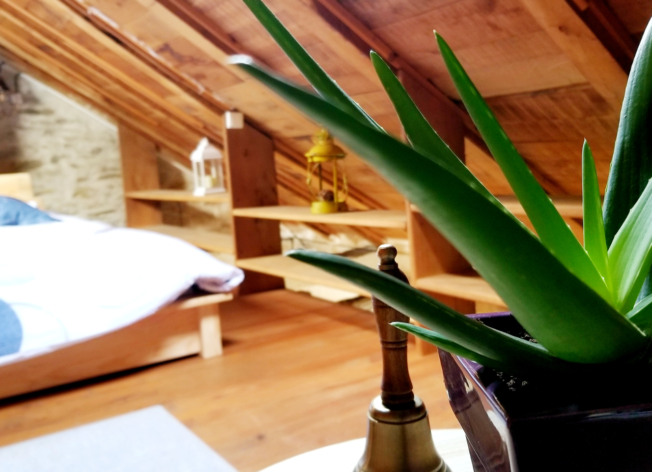 Gîtes insolites en Aveyron avec vue et spa privé (proche Albi/toulouse/rodez) – photo 17 sur 51