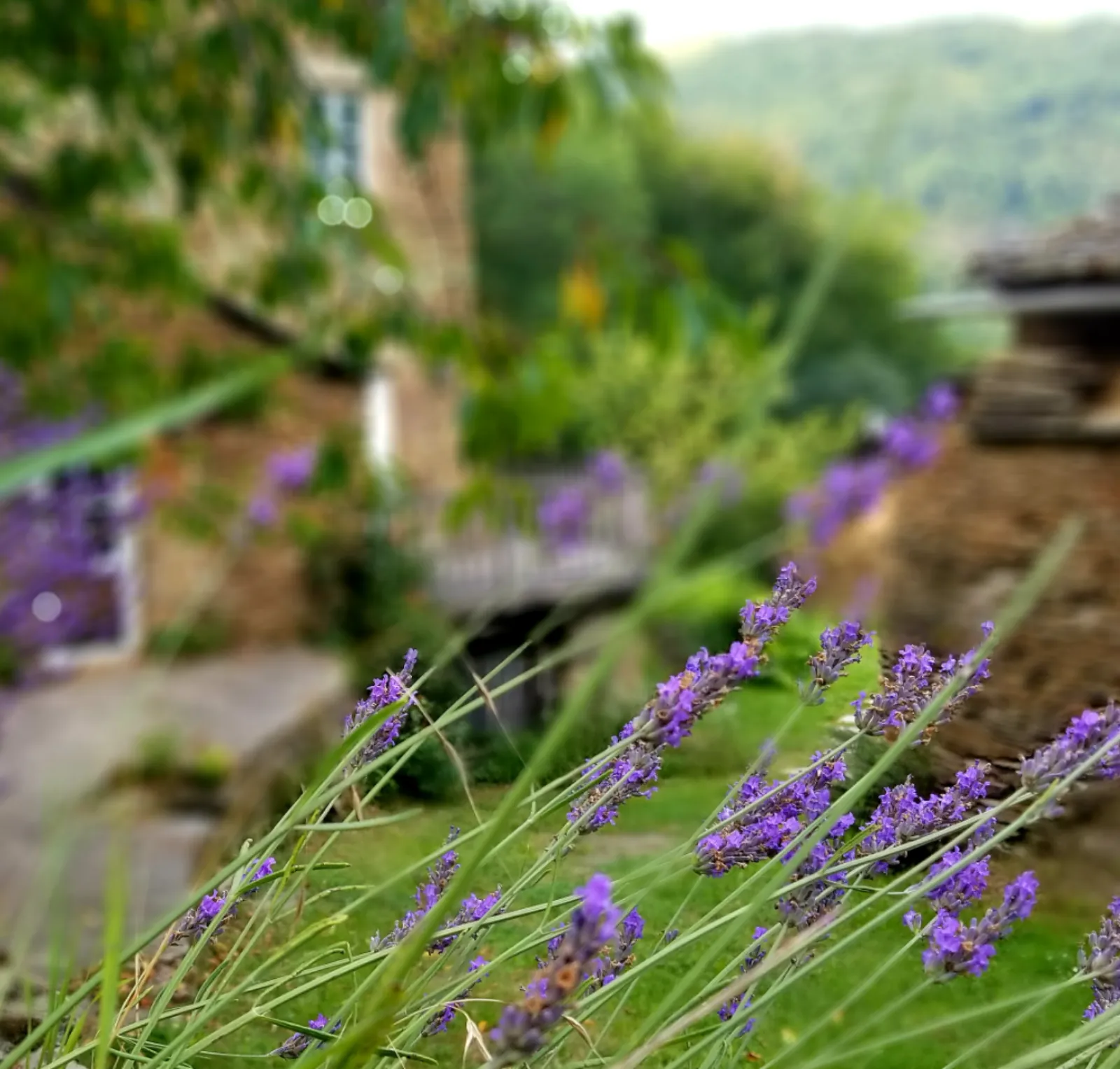 Gîtes insolites en Aveyron avec vue et spa privé (proche Albi/toulouse/rodez) - photo 22 sur 51