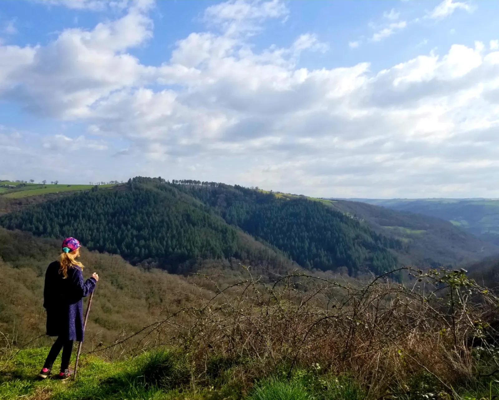 Gîtes insolites en Aveyron avec vue et spa privé (proche Albi/toulouse/rodez) - photo 39 sur 51