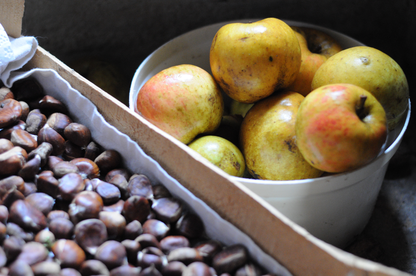 Gîtes insolites en Aveyron avec vue et spa privé (proche Albi/toulouse/rodez) – photo 41 sur 51