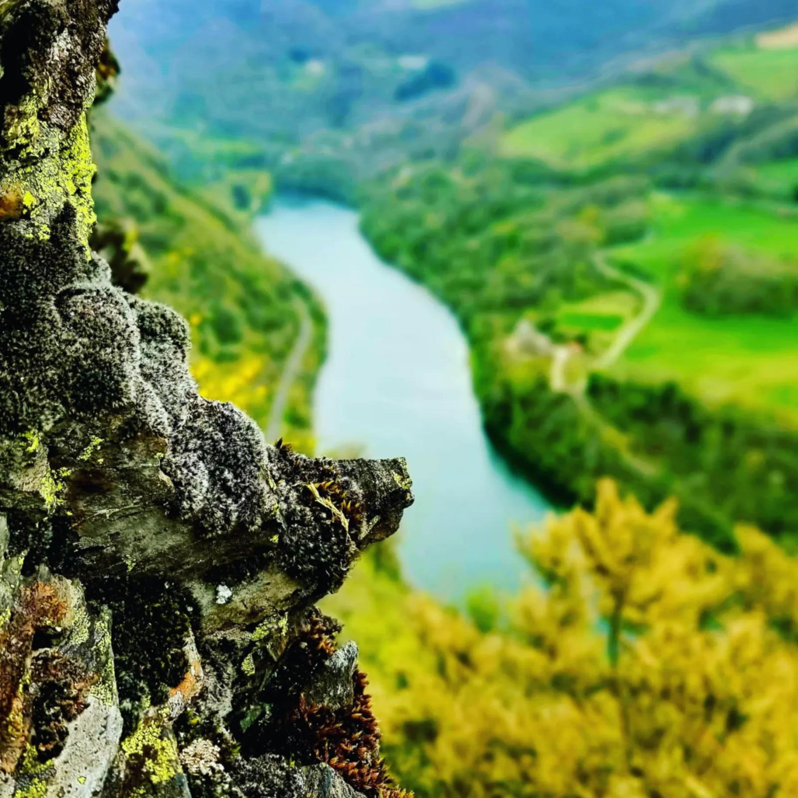 Gîtes insolites en Aveyron avec vue et spa privé (proche Albi/toulouse/rodez) - photo 46 sur 51