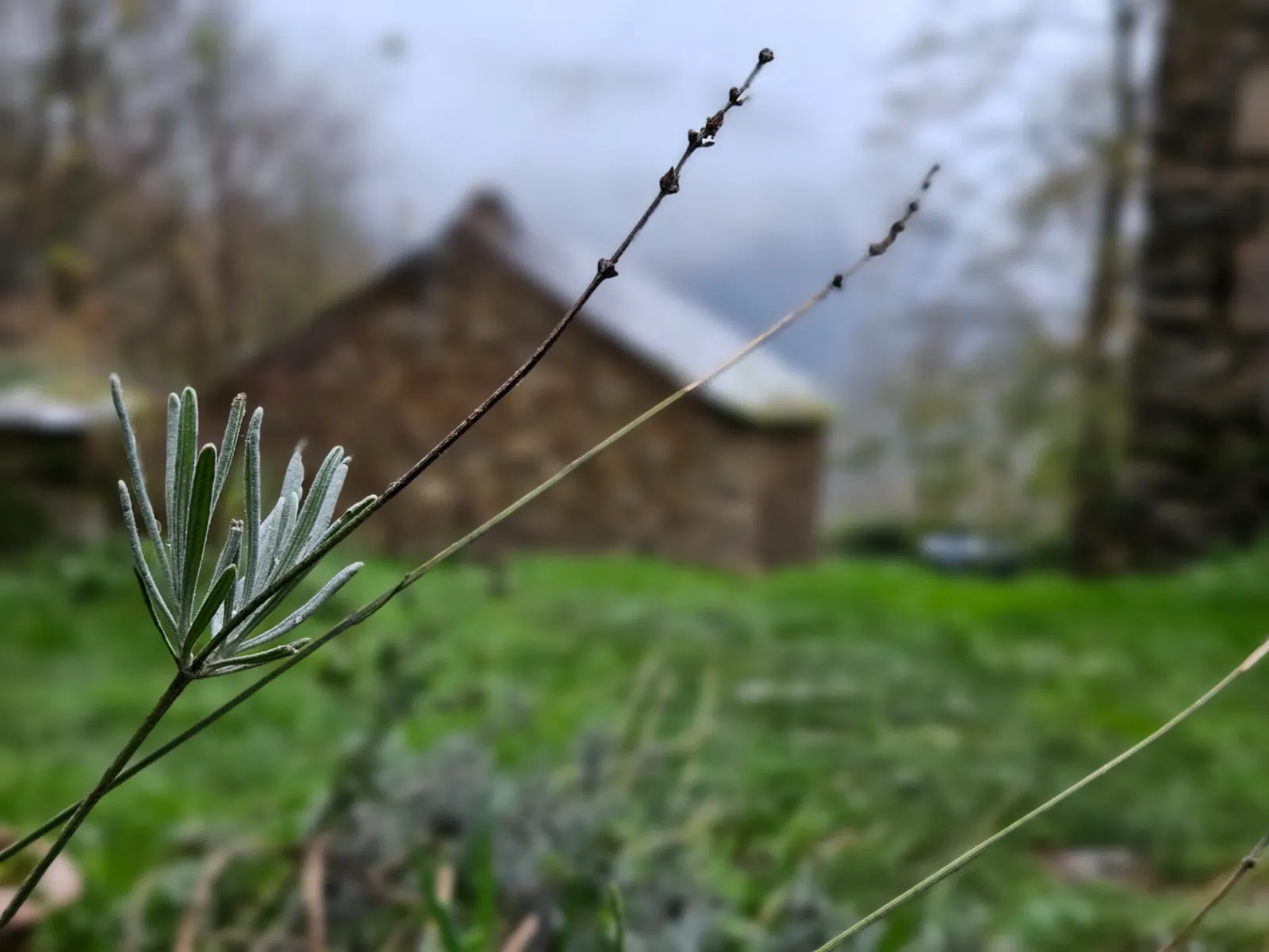 Gîtes insolites en Aveyron avec vue et spa privé (proche Albi/toulouse/rodez) - photo 50 sur 51