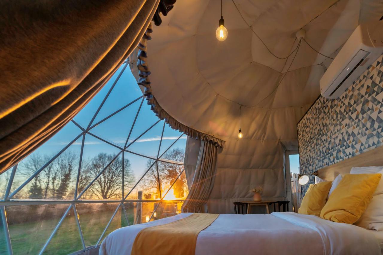 Au Champ de l'Insolite – photo 7 sur 8