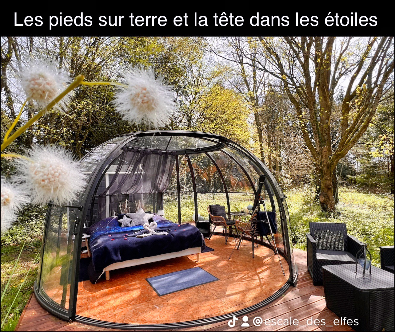 bulle insolite Finistère – photo 5