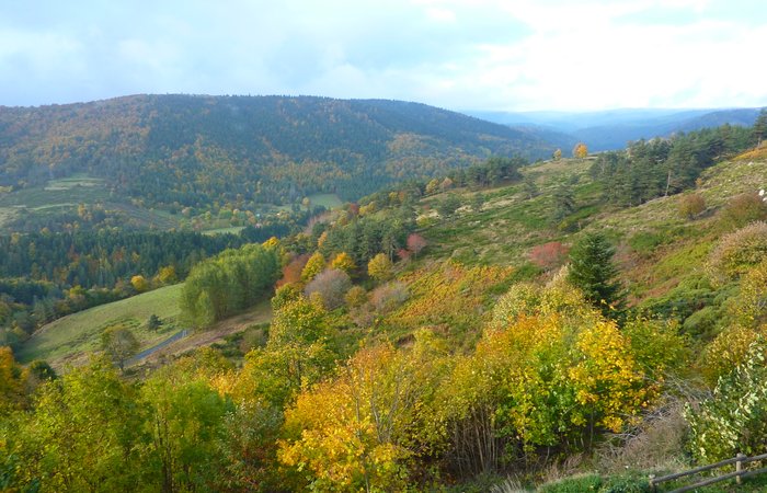 Dôme Pontu : Dôme en Rhône-Alpes (Auvergne-Rhône-Alpes) – photo 8 sur 14