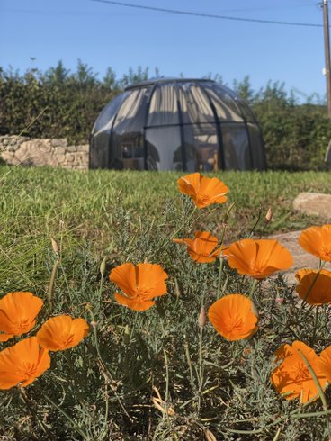 La Bougie perlée : Dôme en Bourgogne (Bourgogne-Franche-Comté) – photo 17 sur 22