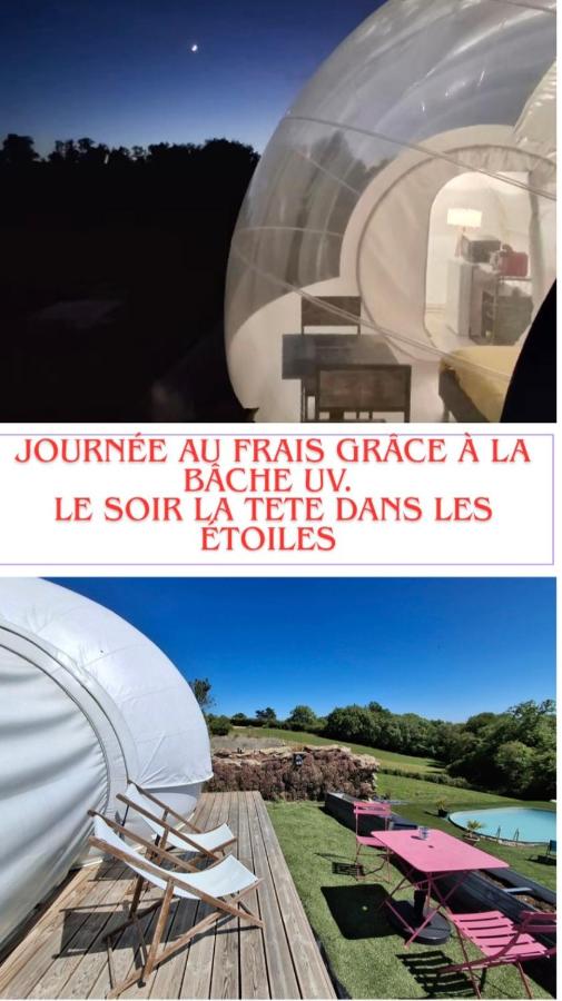 Chambre bulle sous les étoiles à La Salvetat-Peyralès
