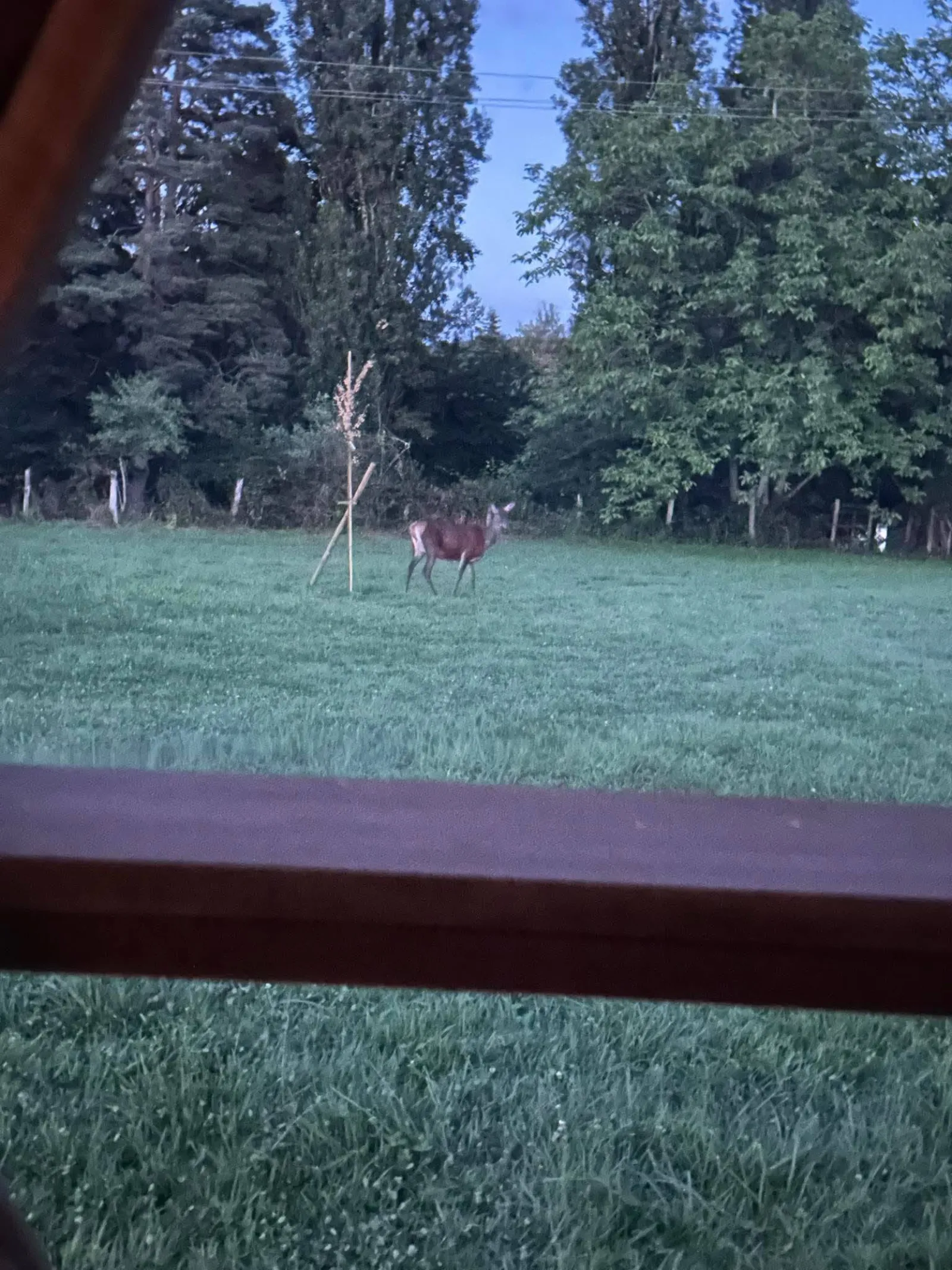 La Bulle à Biches - photo 30 sur 30