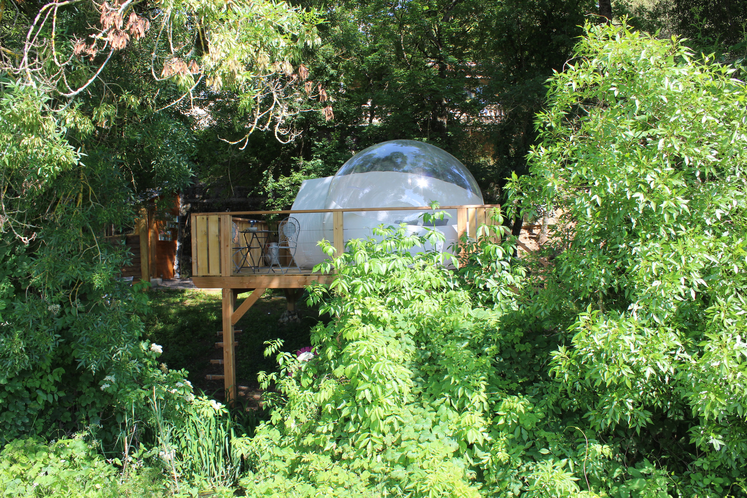 La bulle canopée – vue extérieure