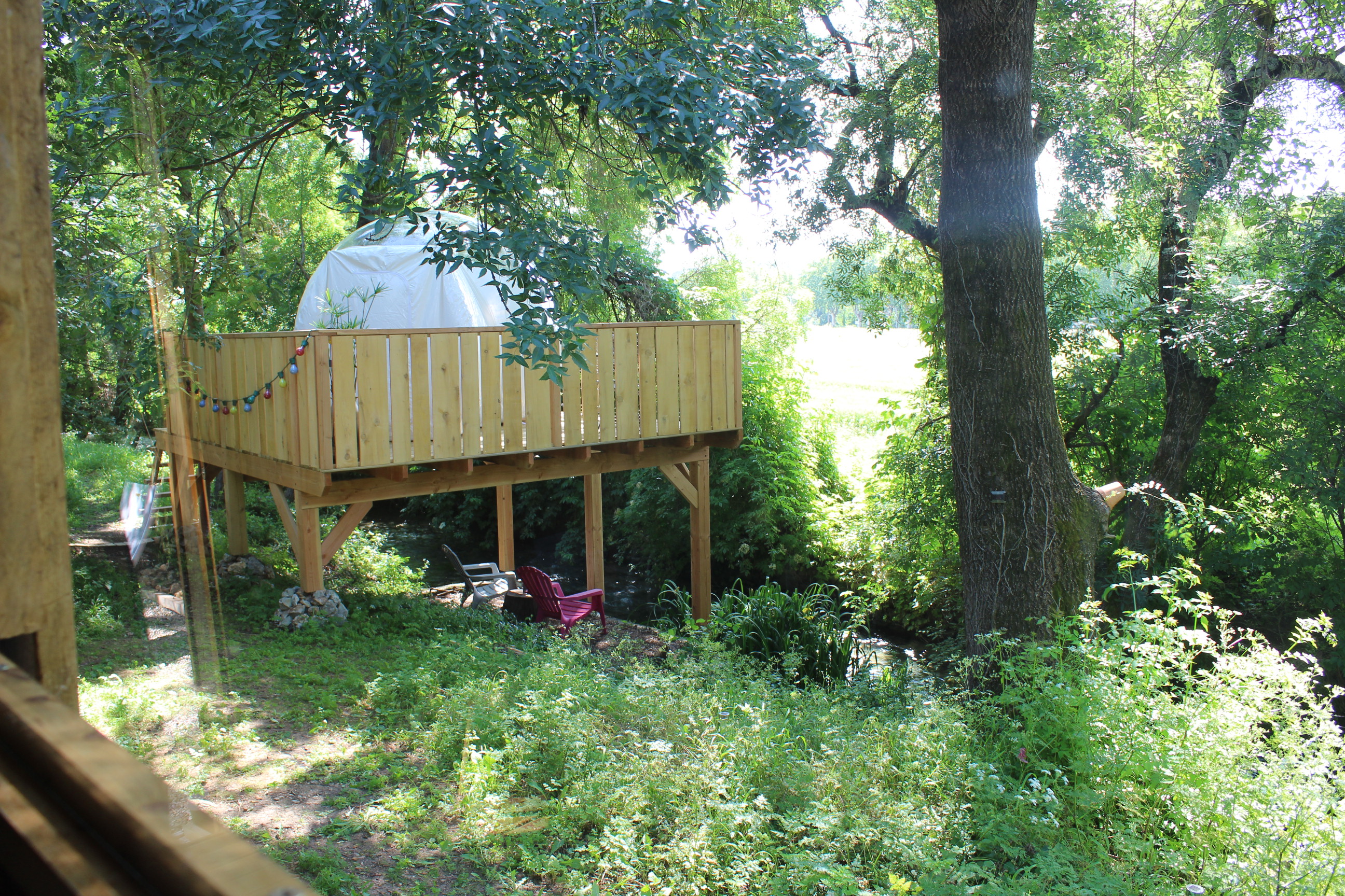 La bulle canopée – photo 6 sur 11