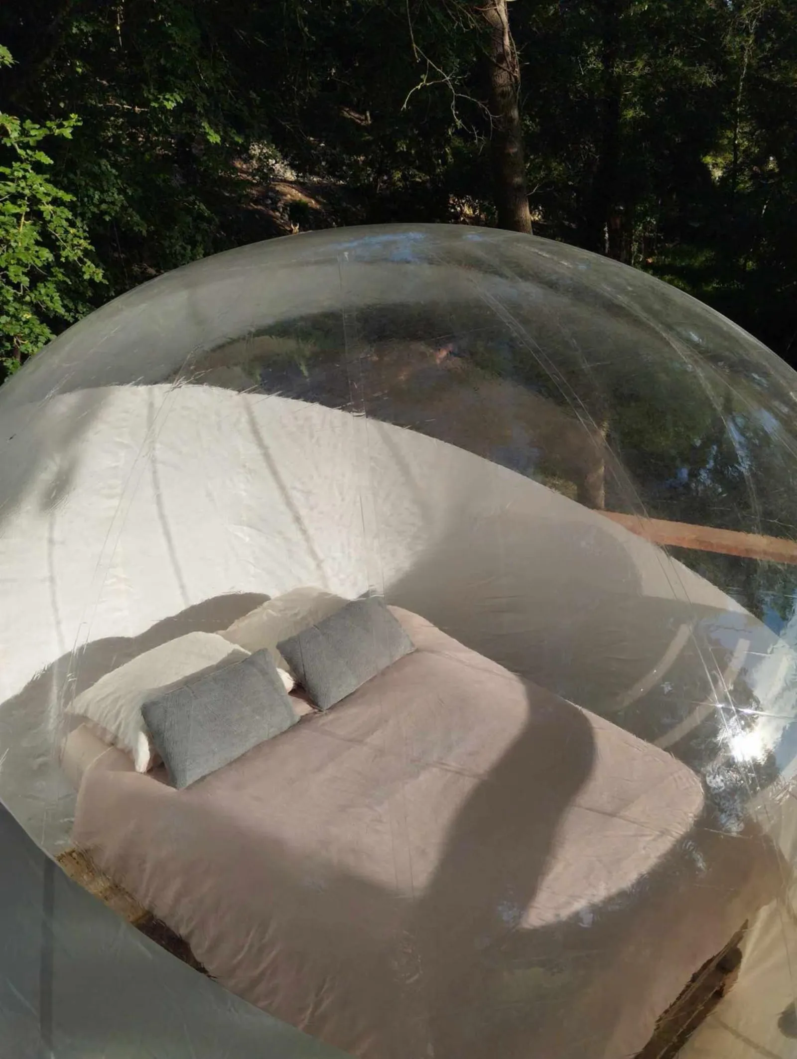 La bulle canopée - photo 7 sur 11