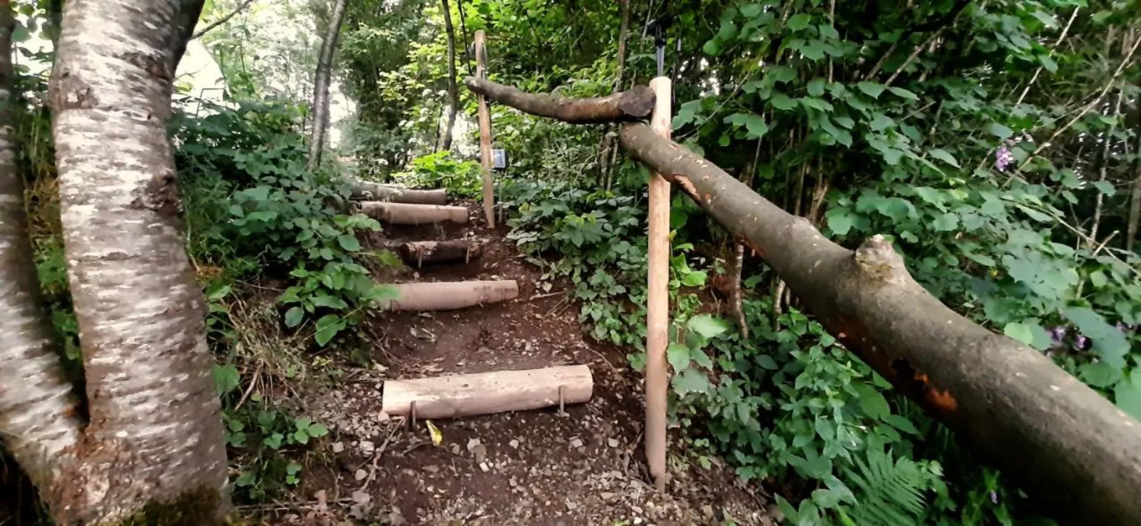 bulle insolite Belgique - photo 5