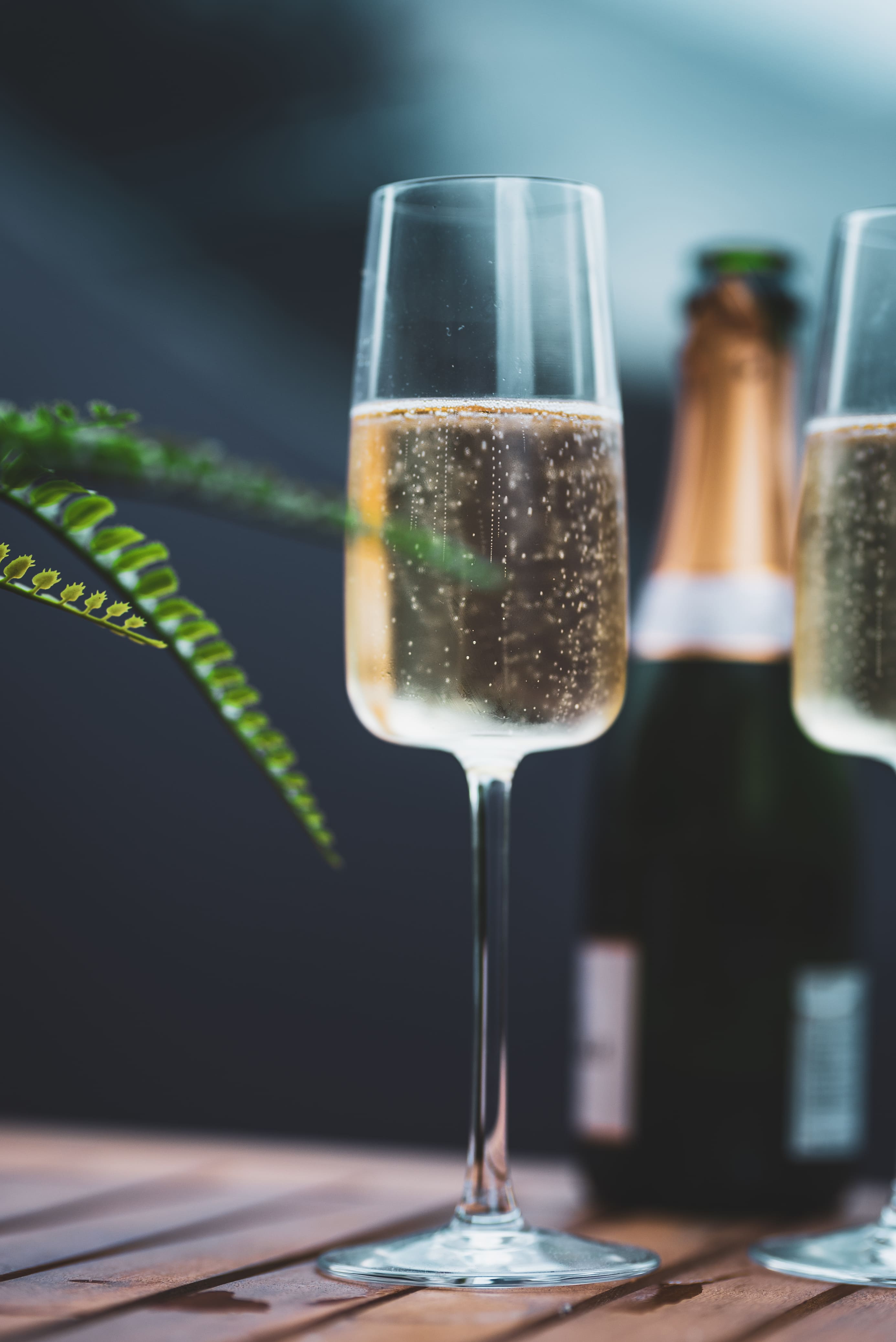 La Bulle d'Ousse – photo 9 sur 9