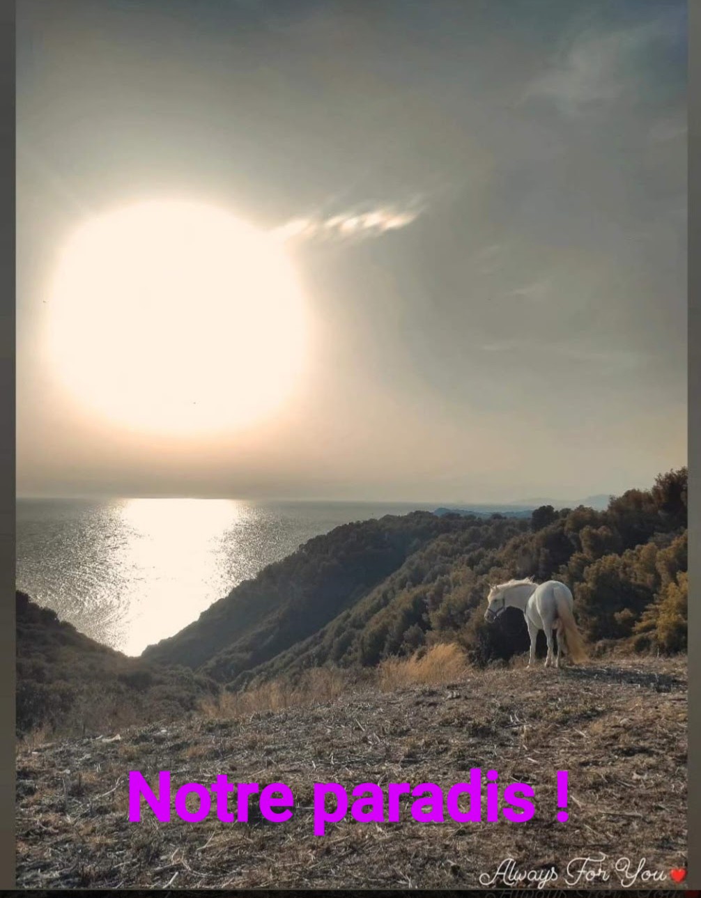 La Bulle de Cocagne – photo 9 sur 14