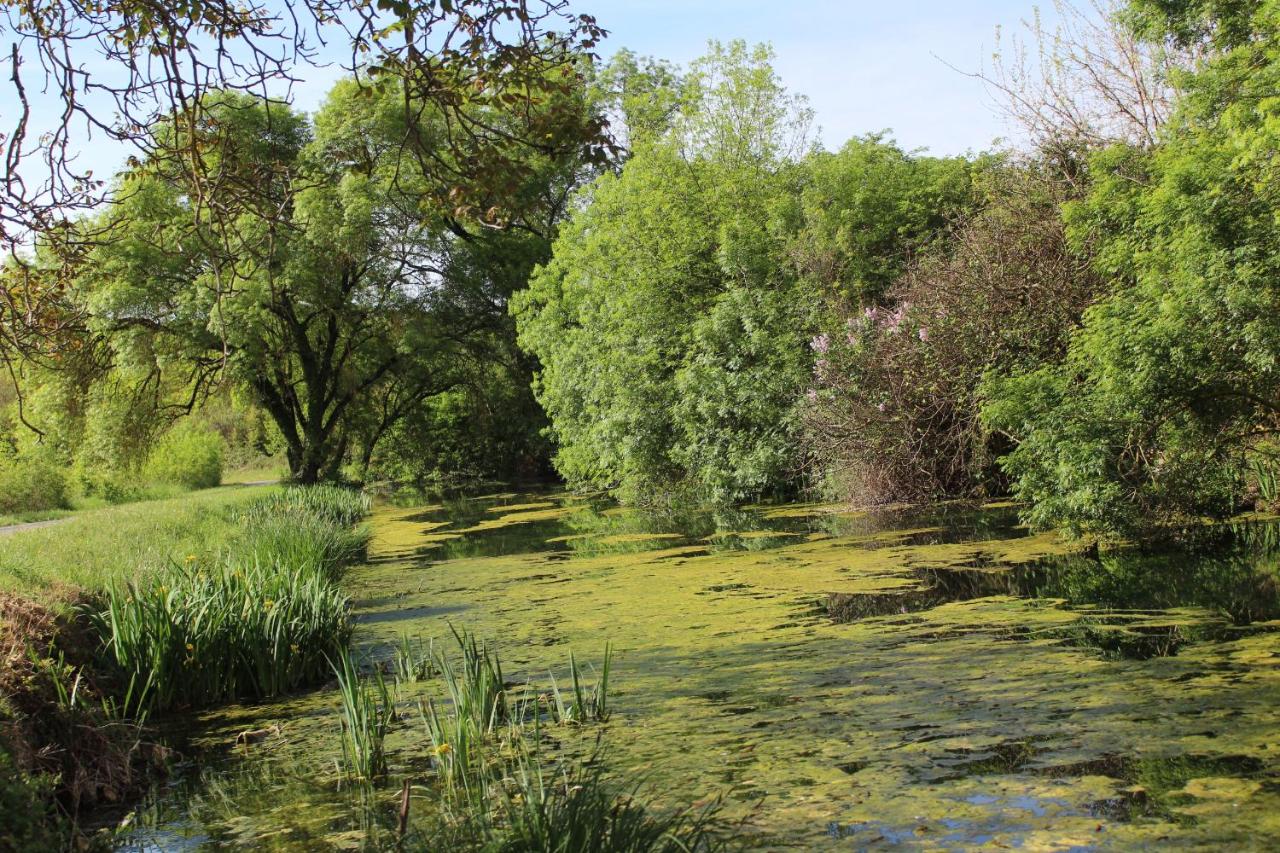 Chambre bulle sous les étoiles à Allegre Les Fumades
