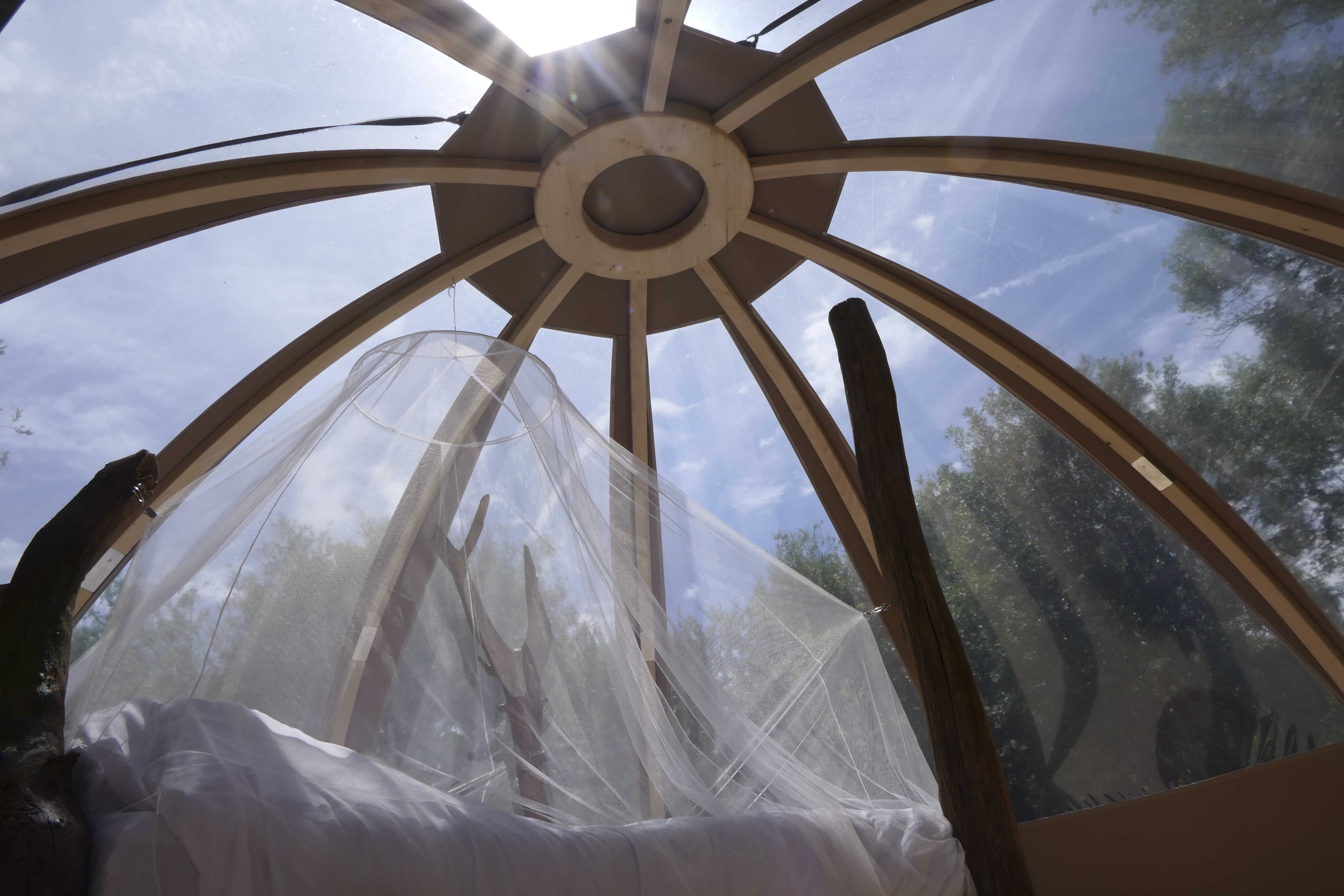 La Bulle – photo 8 sur 11