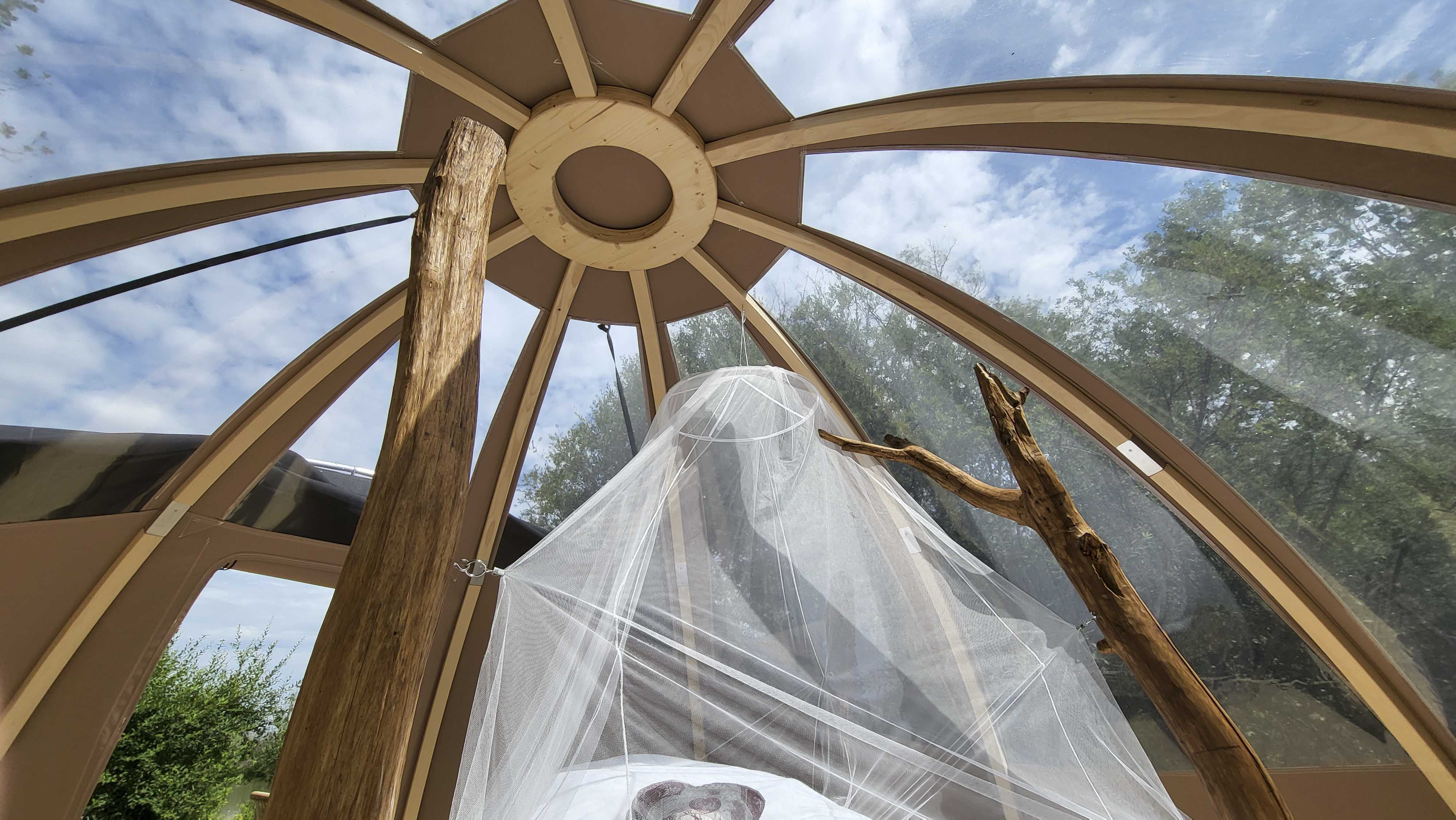 La Bulle – photo 11 sur 11