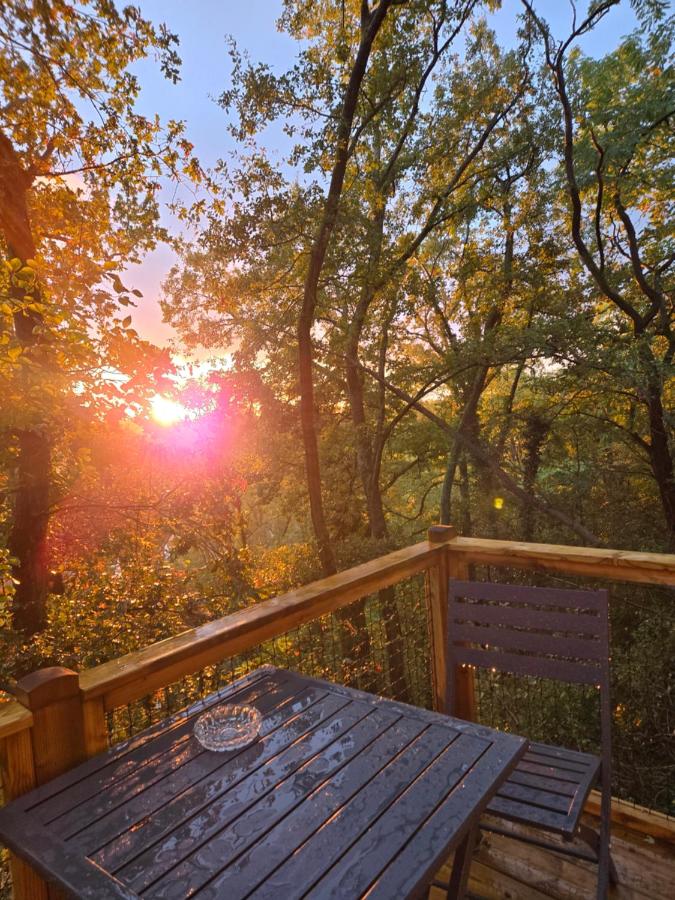 Chambre bulle sous les étoiles à Gouvieux