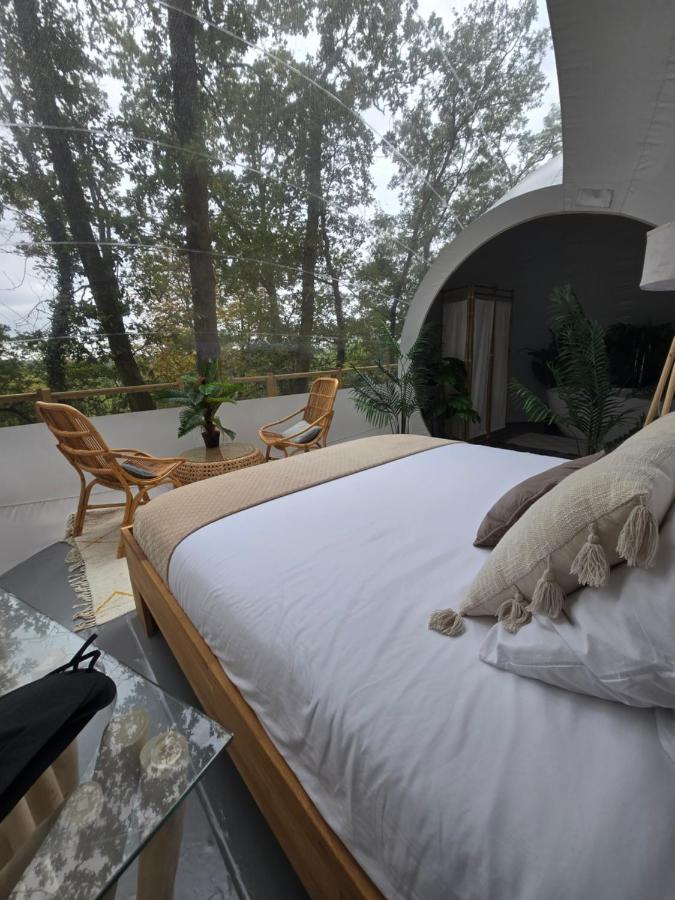 La bulle perchée de Chantilly – photo 8 sur 8