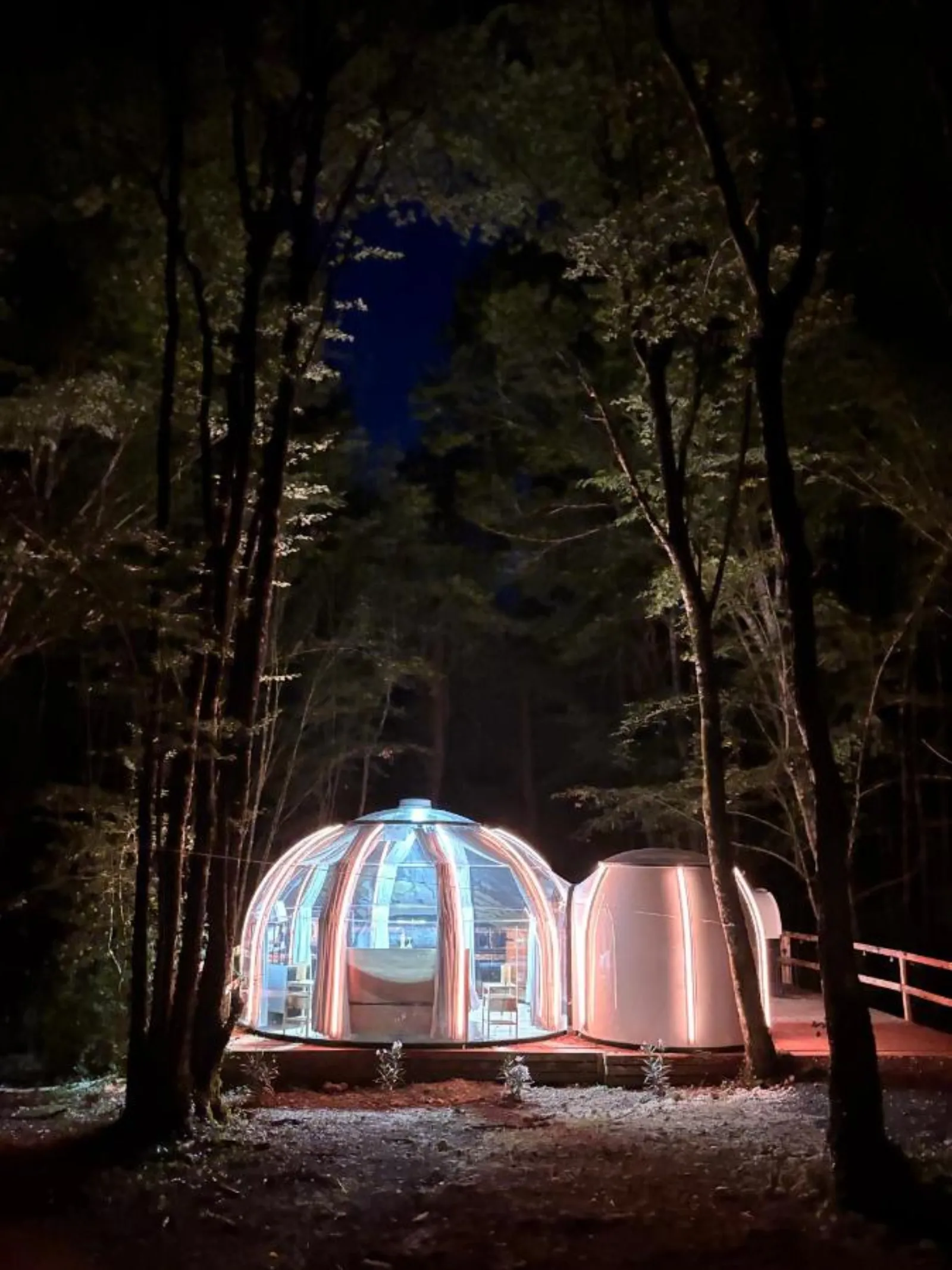 La bulle - photo 7 sur 8