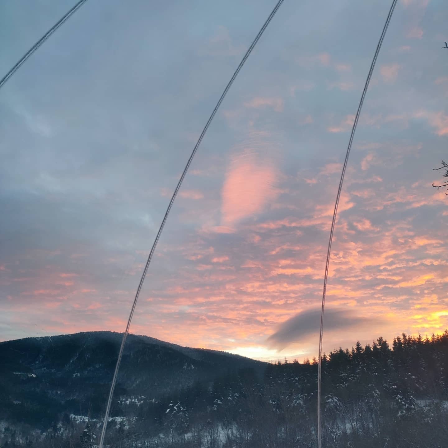 La Bulledardeche – photo 7 sur 46