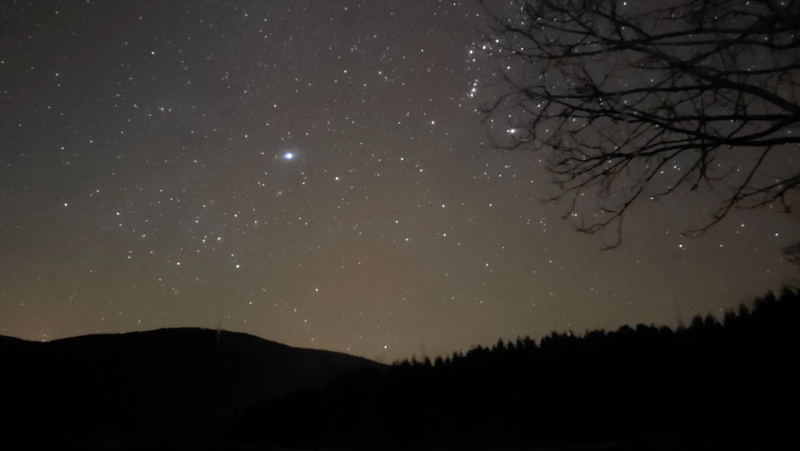 La Bulledardeche - photo 44 sur 46